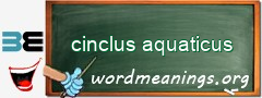 WordMeaning blackboard for cinclus aquaticus